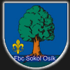 FBC Sokol Osík