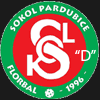 Sokol Pardubice D