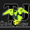 TJ Sokol Sokolov